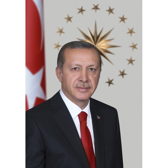 3 No'lu Cumhurbaşkanı Posteri 3 No'lu Cumhurbaşkanı Posteri